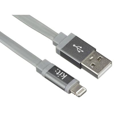 Kit IP5USBALUGR Câble Lightning de chargement/Transfert de Données pour Smartphone 1 m Gris Métallique