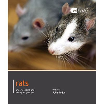 Rats - Pet Friendly