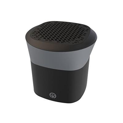 iFrogz Audio TempoBlast, Haut-parleur Bluetooth Sans-fil - Noir