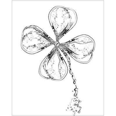 Affiche 40x50 cm Trèfle d'eau / Water Clover / Klee aus Wasser