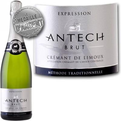 Antech expression brut