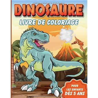 Dinosaure Livre de Coloriage : Merveilleux dessins de dinosaures à colorier  pour garçons et filles dès 3 ans, Magique Dinosaure (Paperback) 