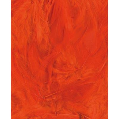 Plumes - Orange 3 g - Ébouriffées - Lg 8 à 12 cm