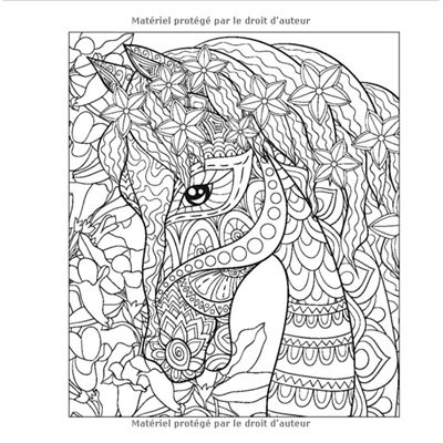 Chevaux Livre de coloriage pour adolescents et adultes 50 dessins à colorier cadeau à offrir pour les passionnés des chevaux et amoureux de l'équitation 