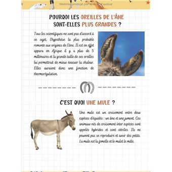 Je découvre les chevaux et l'équitation - Pour enfants à partir de 7 ans  Livre illustré pour tout savoir du cheval NLFBP Editions - broché - NLFBP  Editions - Achat Livre