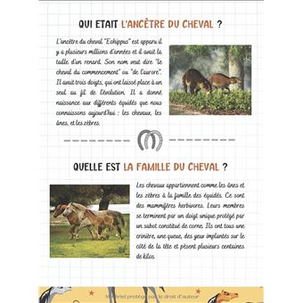 Je découvre les chevaux et l'équitation - Pour enfants à partir de 7 ans:  Livre illustré pour tout savoir du cheval, du poney et découvrir   enfants