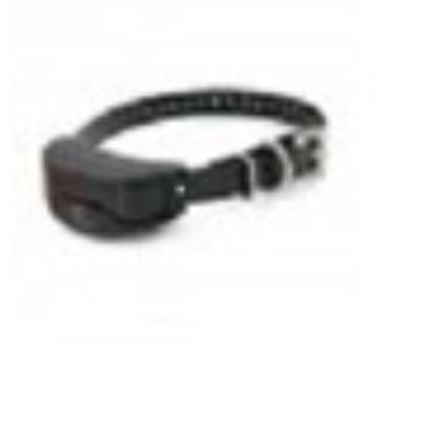 Collier suppl. sport-trainer 1200 m / 1600 m sportdog sdr-ae
