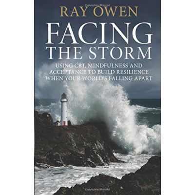 Facing the Storm