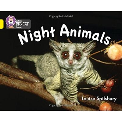 Night Animals Louise Spilsbury