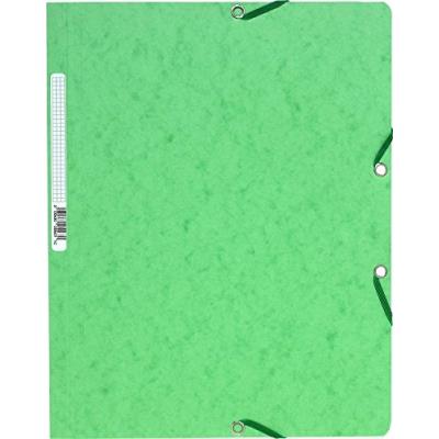 Chemise a elastique sans rabat carte lustree 400gm nature future - a4 exacompta 5563e