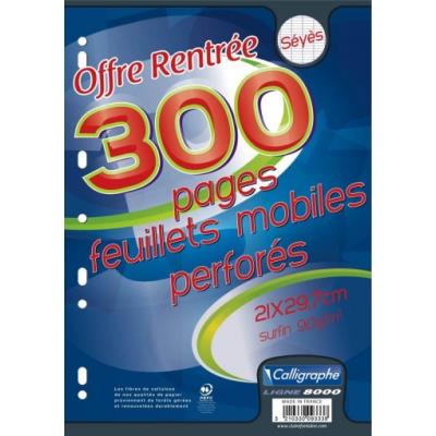 Feuillets mobiles Calligraphe 21x29.7cm 300 pages perf. Seyès