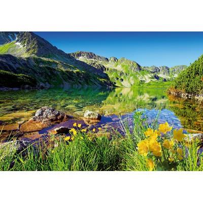 TREFL Puzzle 1500 pi&egrave;ces - Lac Wielki Staw : Les Tatras, Pologne Slovaquie  