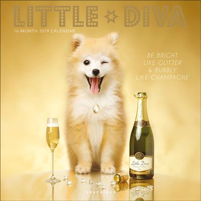 Little Diva Calendrier 2019 carré 30 x 30 cm
