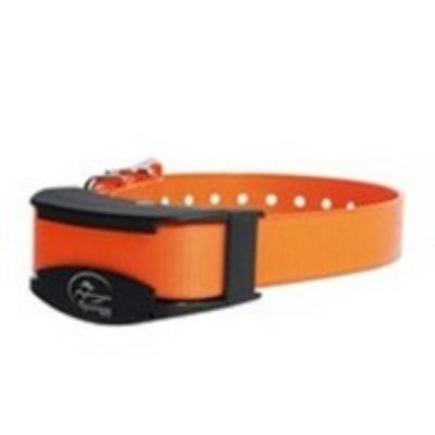 Collier suppl. sport-trainer 450 m / 700 m sportdog sdr-afe