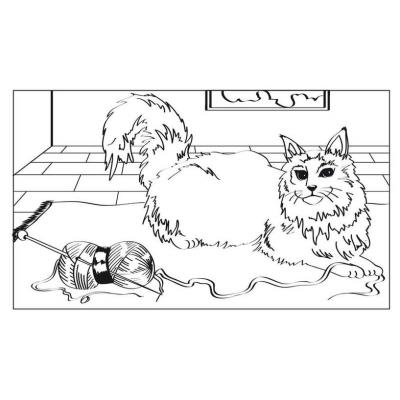 10 cartes aquarelles à colorier - Animaux - DTM