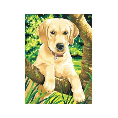 Peinture à numéro : Labrador ColArt