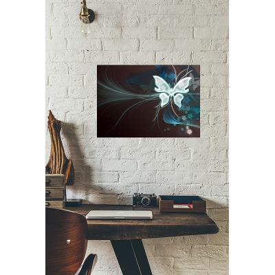 Cadre déco en plexiglas 21cm x 29.7cm épais. 3mm butterfly vector art