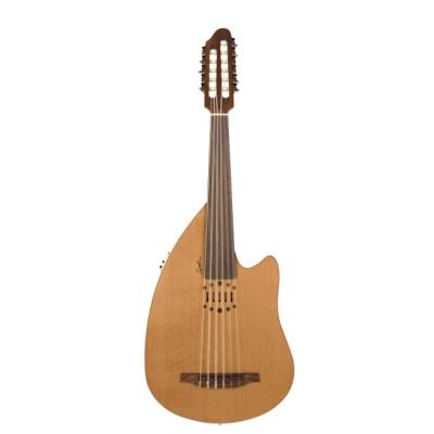 Autres instruments GODIN MULTIOUD NYLON ENCORE FRETTLESS Mandolines et bouzoukis