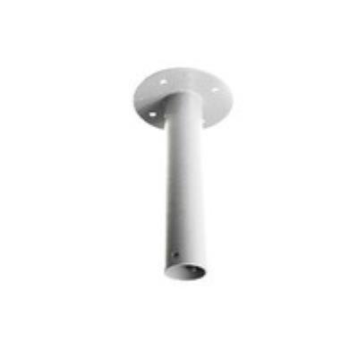 Straight Tube 25Cm W  Anti-Drop Wire Ernitec 0070-10025