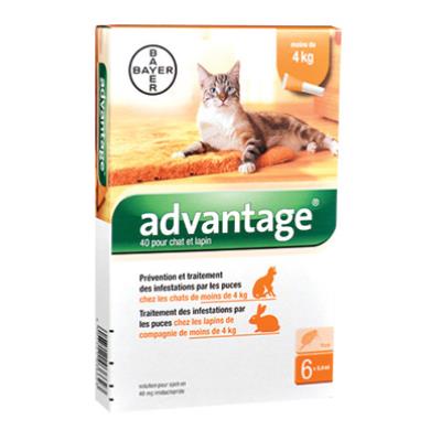 Advantage 40 Anti Puces Pour Chats 4 Kg Boite 6 Pipettes Hygiene Et Sante Pour Chat Achat Prix Fnac