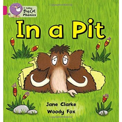 In a Pit Jane Clarke