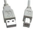 Cable Imprimante USB 2.0 Male A - Male B, 3,00m