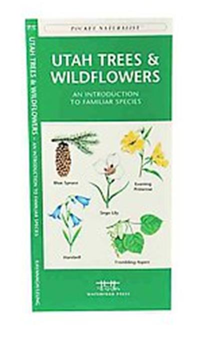 Utah Trees & Wildflowers, Pocket Naturalist Series