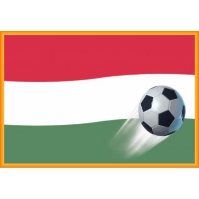 Poster Encadré: Football - Drapeau De L'Hongrie (61x91 cm), Cadre Plastique, Orange