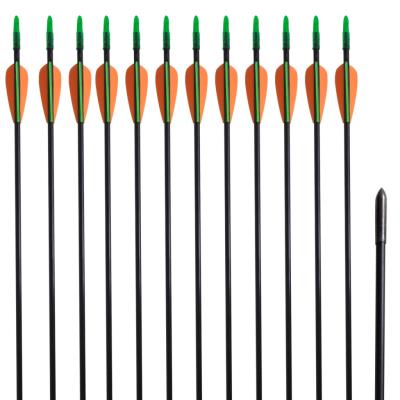 Pijlen voor recurveboog standaard 30 0,6 cm glasvezel 12 stuks