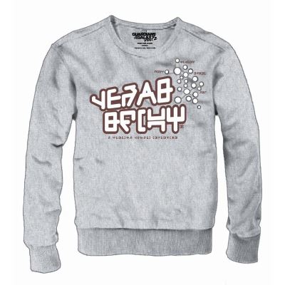 GUARDIANS OF THE GALAXY 2 - Sweat Star-Lords (L)