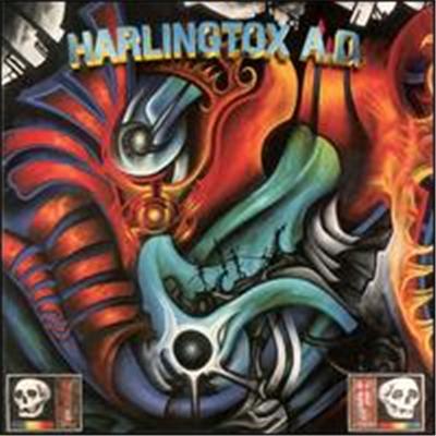 Harlingtox Angel Divine