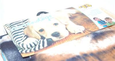 Serviette de bain Nintendogs