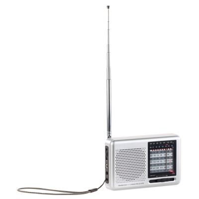 Mini récepteur radio mondial analogique 9 bandes (FM/MF/7x HF)