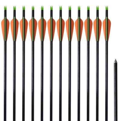 Pijlen compoundboog standaard 30 0,8 cm glasvezel 12 stuks