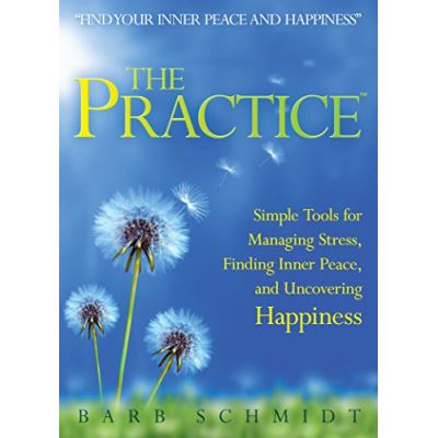 The Practice Barb Schmidt