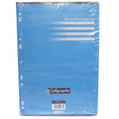 Clairefontaine feuille mobile perf.gm 5x5 100pag 2377