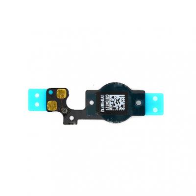 iPhone 5C Nappe Bouton Home
