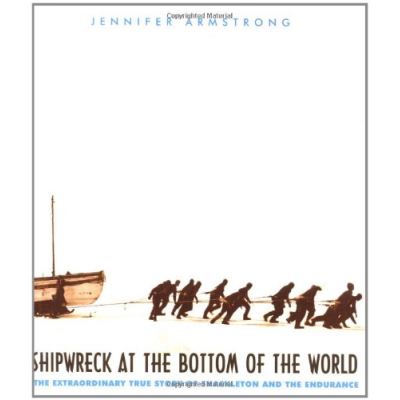 Shipwreck at the Bottom of the World