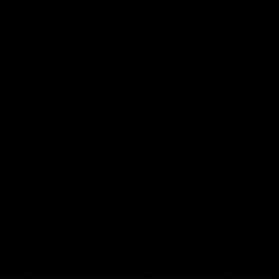 Savage Accent Contexte Muslin solide (10 x 24' , Noir)
