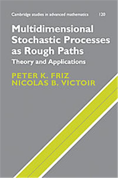 Multidimensional Stochastic Processes As Rough Paths, Cambridge Studies in Advanced Mathematics