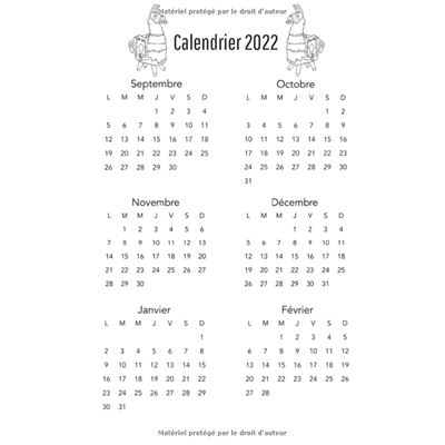 Agenda Scolaire 2022-2023 Planificateur Journalier pour Étudiants Collège -  Lycée - Primaire 1 jour 1 page - broché - NLFBP Editions, Livre tous les  livres à la Fnac