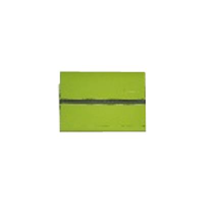 Yoga tablet2 8 sleeve and film green-ww