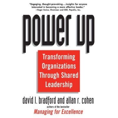 Power Up: Transforming Organizations Through Shared Leadership