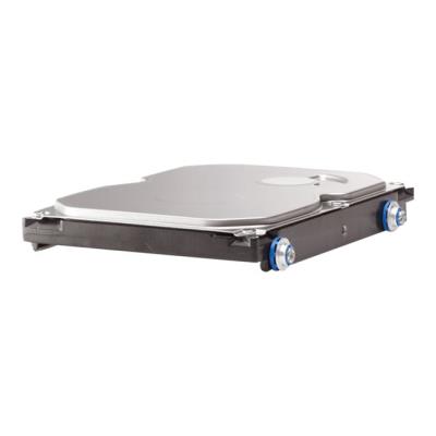 HPE Entry - Vaste schijf - 250 GB - hot-swap (verwisselbaar zonder uitschakelen) - 3.5 - SATA 3Gb/s - 7200 tpm