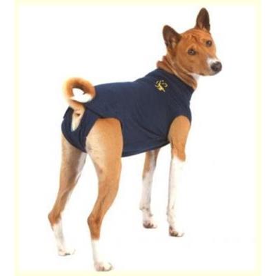 Meilleurs prix pour Medical Pet Shirt Dog - Large