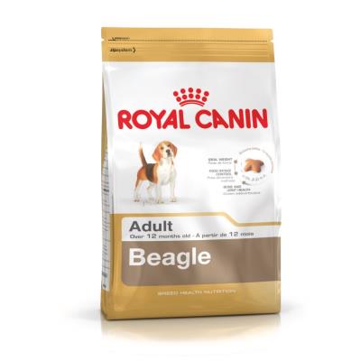 Croquettes royal canin beagle adulte sac 12 kg