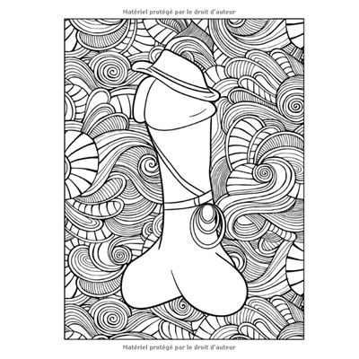 Les Penis Un Livre De Coloriage Pour Adultes 92 Pages Format A4 Nlfbp Editions Broche Nlfbp Editions Achat Livre Fnac