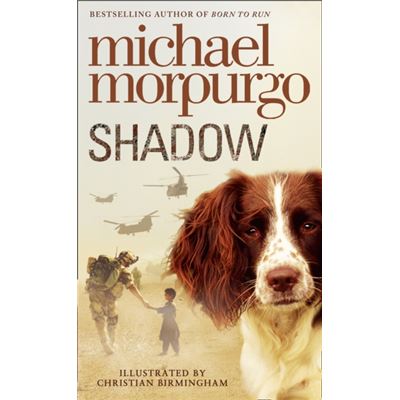 Shadow (Audio Cd)