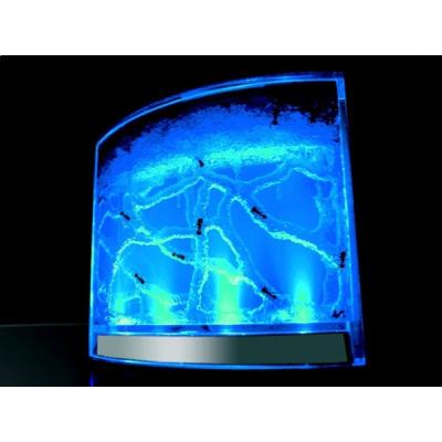 Antworks : vivarium pour fourmi à led milieu évolutif à éclairage science jeu