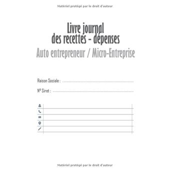 Livre Cahier de Compte: Registre recettes dépenses, Auto-entrepreneur,  Journal chronologique micro-entrepreneurs, AutoEntrepreneur, Cahier de  caisse